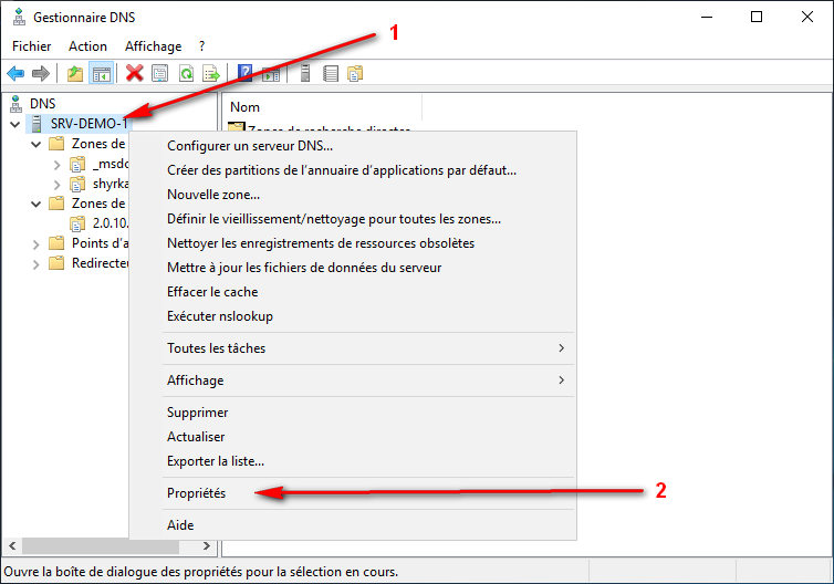 install_dns_22.png install_dns_22.png